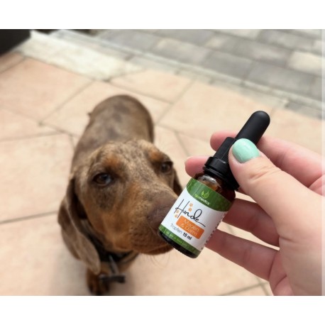 Hunde Magen & Darm | Gyomor & Bél Hunde Magen & Darm | Gyomor & Bél