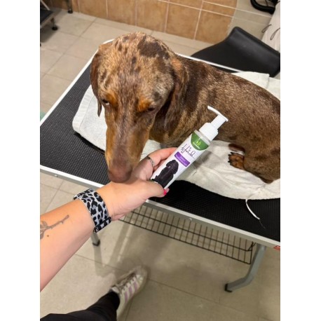 Hunde MSM-Regenerations gel/MSM Regeneráló gél Hunde MSM-Regenerations gel/MSM Regeneráló gél