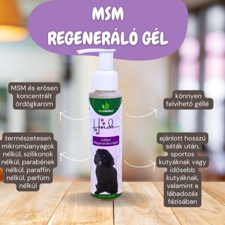 Hunde MSM-Regenerations gel/MSM Regeneráló gél