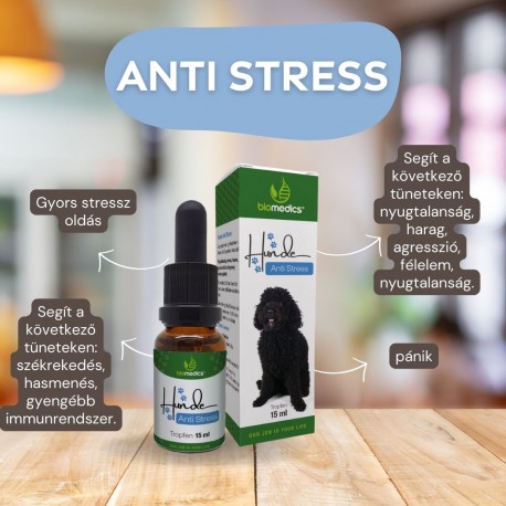 Hunde Anti Stress