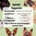 Hunde Magen & Darm  